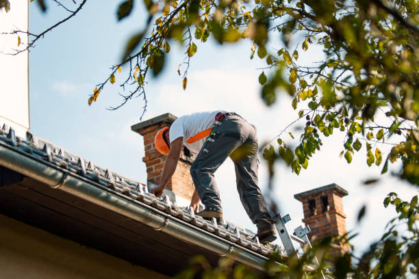 Best Local Roofing Companies  in Davison, MI