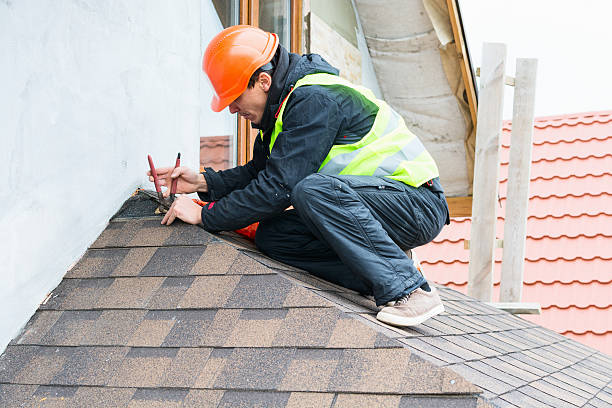 Best Best Roofing Contractors  in Davison, MI
